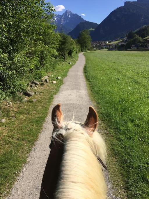 Ferienhaus Zillertal Panorama Blick Balkon Sauna Zellberg Exteriör bild